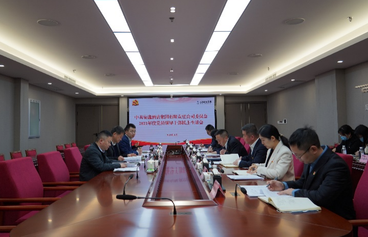 尊龙凯时集团党委书记、董事长任丁出席安逸酒店集团2022年度党员领导干部民主生活会